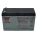 NPW36-12 BATTERY
